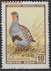 СССР 1957. Куропатка - С-223