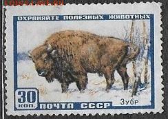 СССР 1957. Зубр - С-225