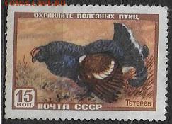 СССР 1957. "Тетерев"** - С-185
