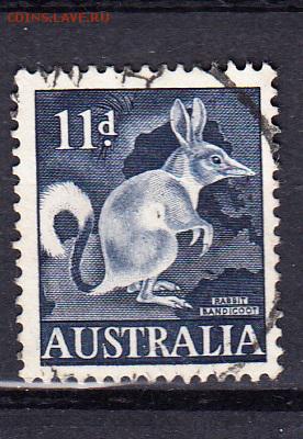 Австралия 1961 фауна - 212