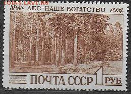 СССР 1960. "Корабельная роща" - С-453