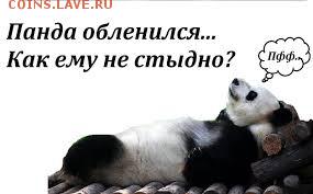 делает - прямо сейчас !!! - images