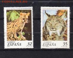 Испания рыси - Копия (8) 69
