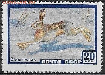 СССР 1960. Заяц*** - С-463