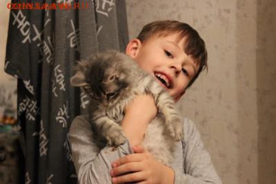 ТРЕБУЕТСЯ ПОМОЩЬ форумчанину  Peps - IMG_0019.JPG