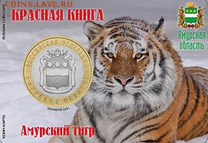 пластиковая коин-карта - maket_amurskaya_obl