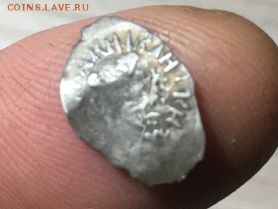 Помогите определить - IMG_6066.PNG