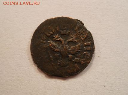 Полушка 1709 - polushka_1709_redkaja (2)