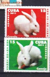Куба 2011 кролики - Копия (2) 24