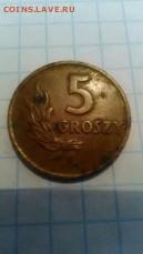 5 GROSZI 1949 - 1479092639884-1156462320