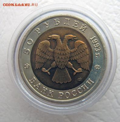 Красная книга 1993 Черноморская афалина до 19.11 22-00 - Афалина-4