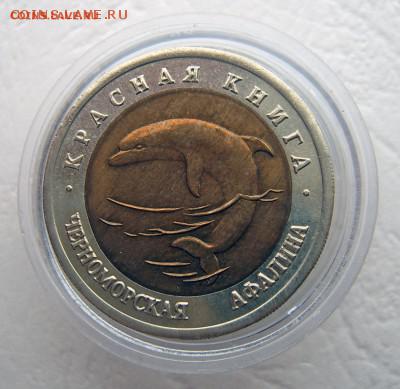 Красная книга 1993 Черноморская афалина до 19.11 22-00 - Афалина-2