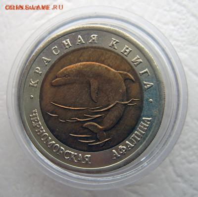 Красная книга 1993 Черноморская афалина до 19.11 22-00 - Афалина-1