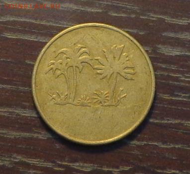 ИГРОВОЙ ШАНГРИ-ЛА ПАЛЬМЫ до 30.12, 22.00 - жетон шангри-ла пальмы-1