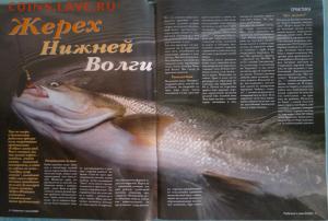 Оценка. Журналы на рыболовную тематику. - 2016-10-29-1872_300x202