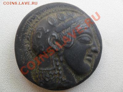 сова - SAM_0628.JPG