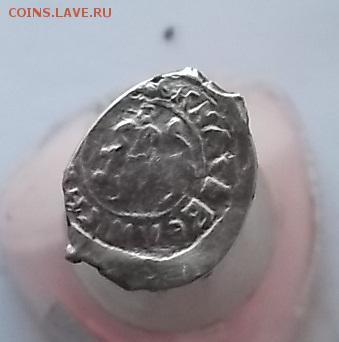 Чешуйки 3 шт. - DSCF1876.JPG