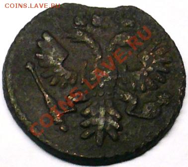 деньга 1748 и полушка 1735 - вопрос по орлам - P1030799.JPG