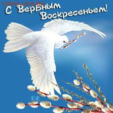 делает - прямо сейчас !!! - images
