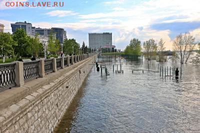 делает - прямо сейчас !!! - IMG_4728.JPG