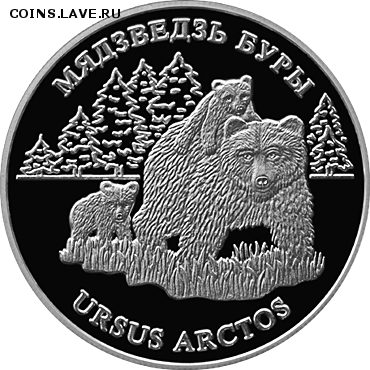 Куплю 20 рублей 2002 Республика Беларусь, Бурый медведь. - 44bac5eb09f4b48fac012c3892b74f28