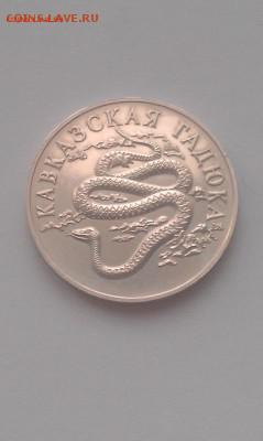 1 рубль 1999 года, есть блиц. - IMAG1560