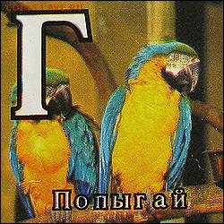 оценка - попыгай