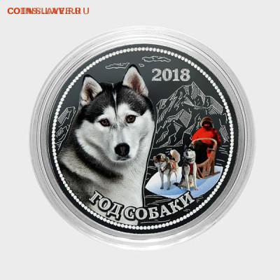 СУВЕНИР. 25 РУБЛЕЙ. ГОД СОБАКИ - ХАСКИ ездовая - 7 ХАСКИ ездовая_sm