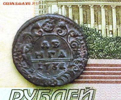 Прошу оценить денга 1731 год - Денга 1731 %281%29.JPG