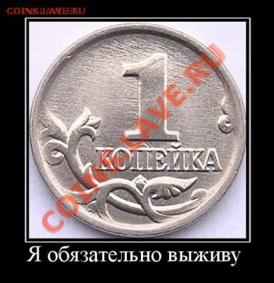 Voronok - Выживу