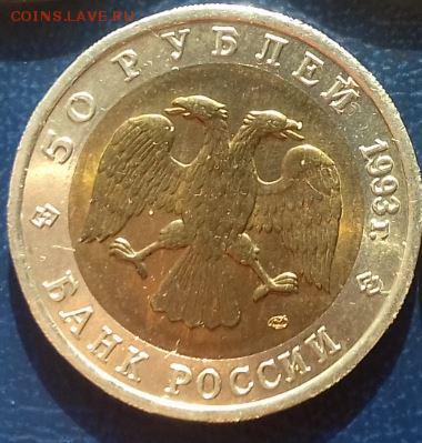 50 рублей красная книга 1993 медведь до 24.03 - медведь2.JPG