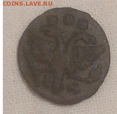 Полушка 1722 год.Состояние. - 1719