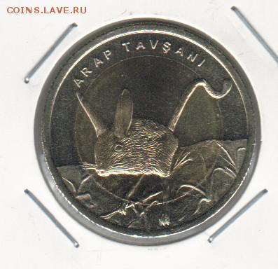 КК турции 16 год мышь и тушканчик  03.05.18 22.00 - 2018-04-28_007
