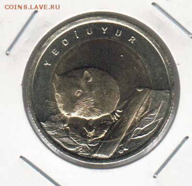 КК турции 16 год мышь и тушканчик  03.05.18 22.00 - 2018-04-28_008