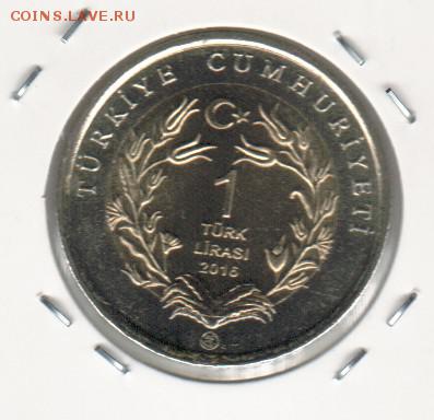 КК турции 16 год мышь и тушканчик  03.05.18 22.00 - 2018-04-28_006