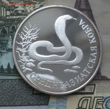 1 рубль 1994 г. Среднеазиатская кобра до 28.05.2018 г. - 2018-05-25 14.47.22