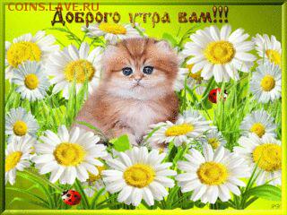 делает - прямо сейчас !!! - 8235c125-d081-47cb-a509-80d60176e0ce