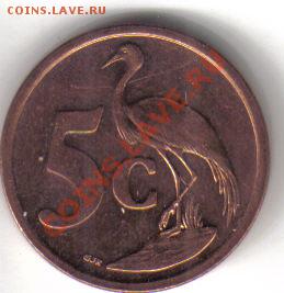 ЮАР 5 центов 2008 до 29.05 21.00мск - ЮАР 5 центов 2008-1