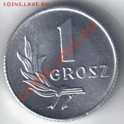 Польша 1 грош 1949 до 29.05 21.00мск - Польша 1 грош 1949-2