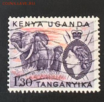 Колонии Танганьика Кения Уганда 1953 слоны 1м1,3ш - 16