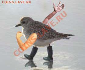 делает - прямо сейчас !!! - x_d2d7716a