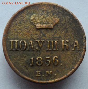 Полушка 1856 ЕМ до 26.05. 2019. 22-00м - полушА