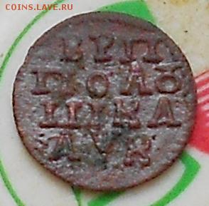 Полушка 1720 НД - Изображение 4769