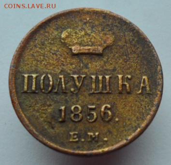 Полушка 1856г. ЕМ. до 4.07.2019 - 1856