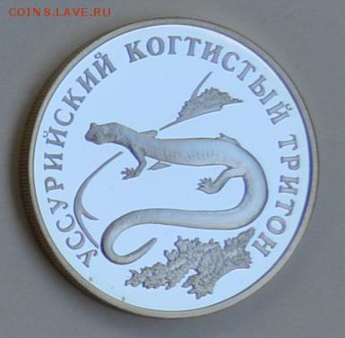 1 рубль 2006 УССУРИЙСКИЙ КОГТИСТЫЙ ТРИТОН 4.07 22-30 - DSC_0678.JPG