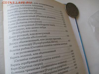 аквариум. книга - IMG_4700.JPG