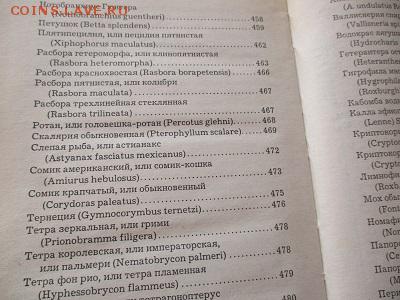 аквариум. книга - IMG_4701.JPG