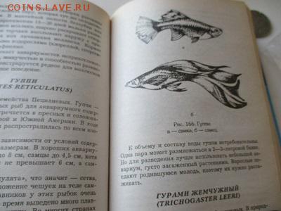 аквариум. книга - IMG_4707.JPG