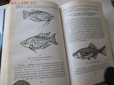 аквариум. книга - IMG_4708.JPG