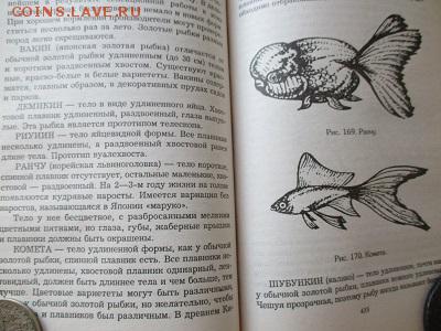аквариум. книга - IMG_4709.JPG